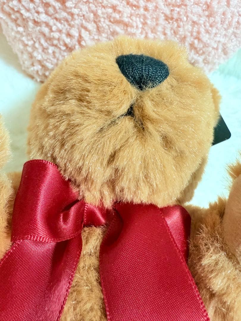 ☆メリーソート☆マイファーストメリーベア☆トフィー☆ウィッシュボーンコレクション