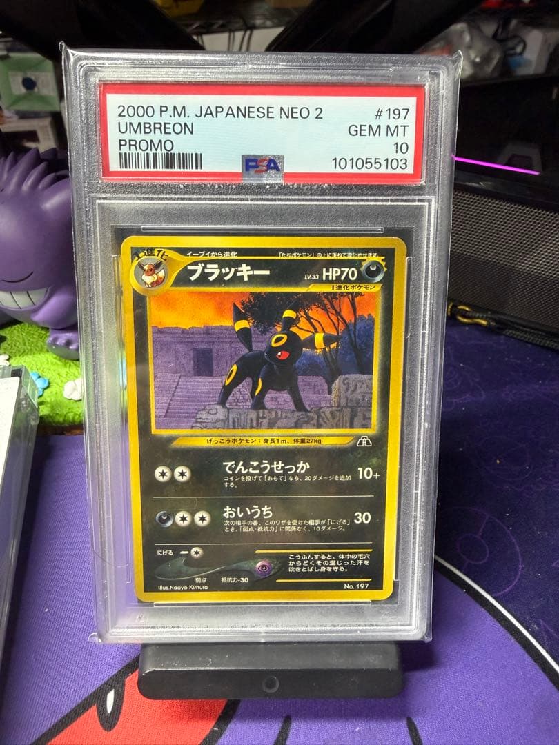 PSA10 ブラッキー 旧裏 プレミアムファイル2 プロモ