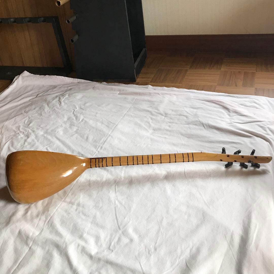 外国の撥弦楽器