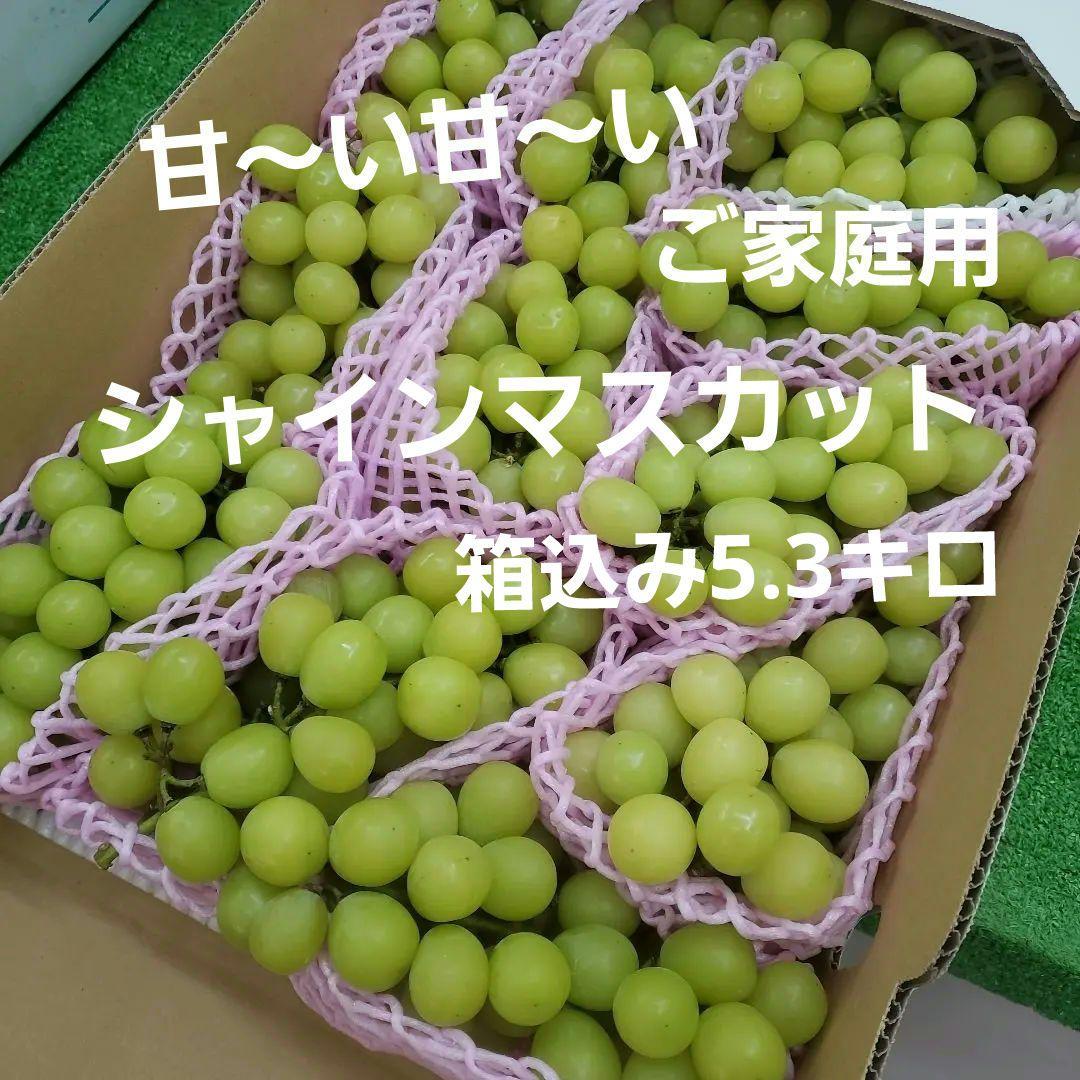 4️⃣ 山梨県産 シャインマスカット 11房入り 箱込み5.3キロ