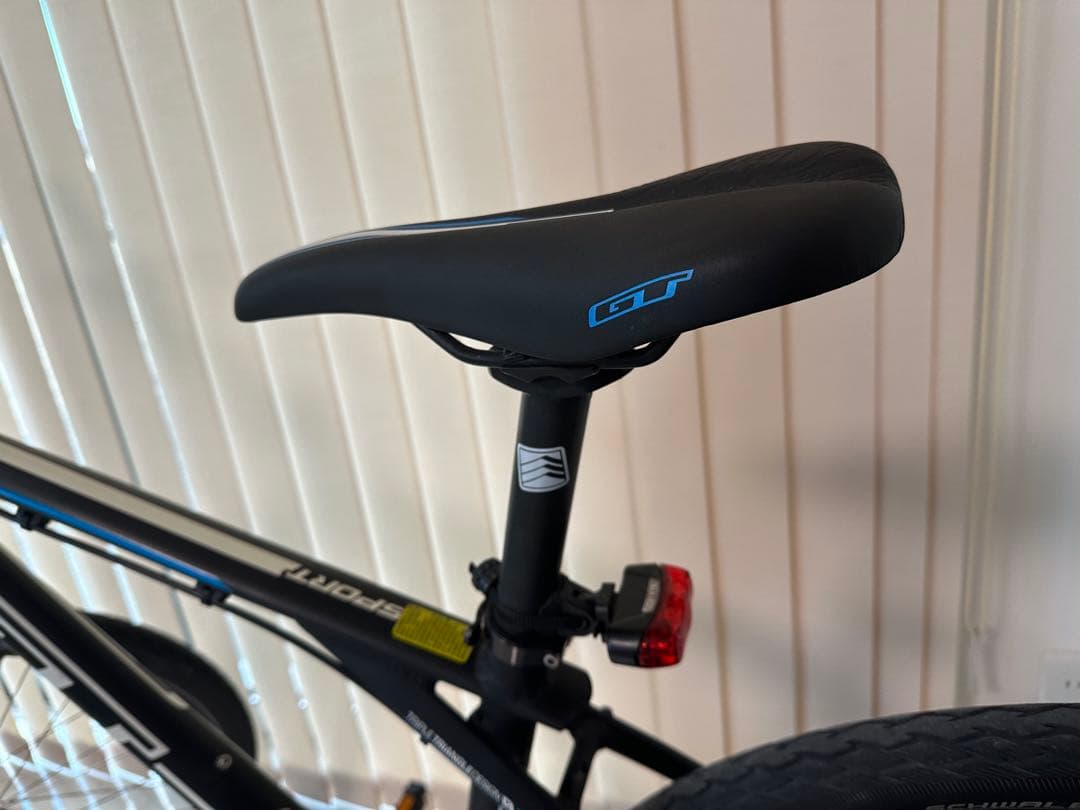 GT マウンテンバイク 29インチ ブラック/ブルー