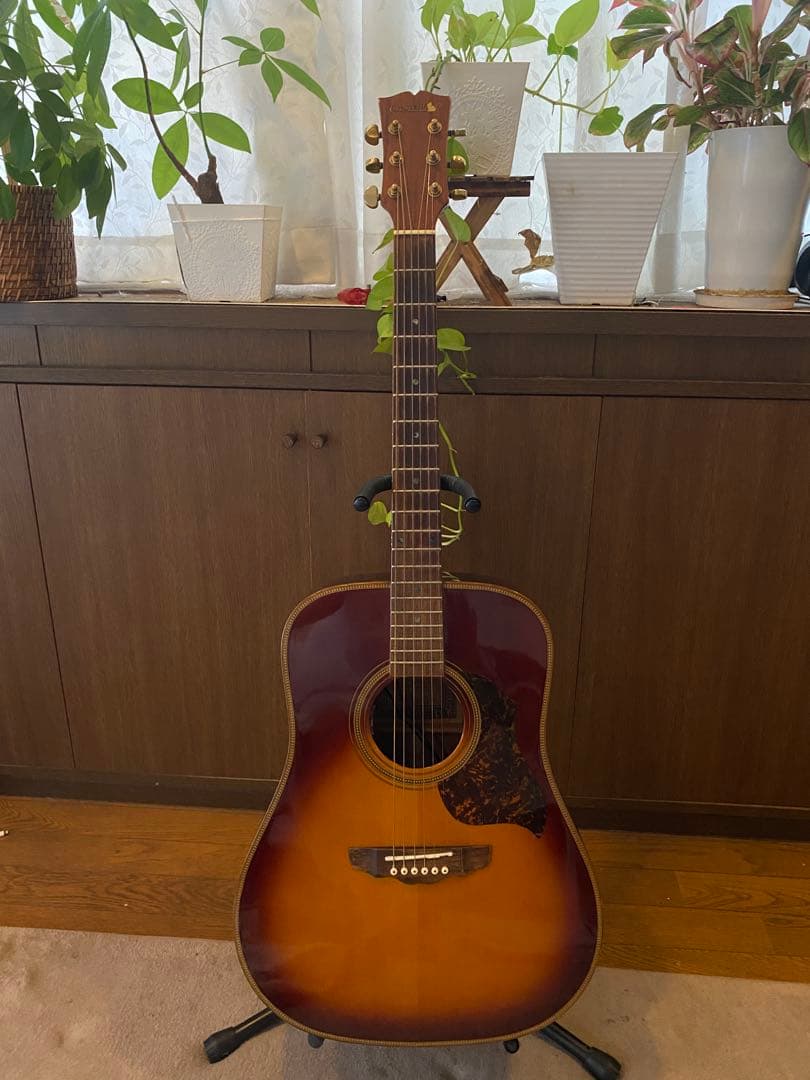 Crescent オール単板 CA-D-85BS L.R.Baggs lyric