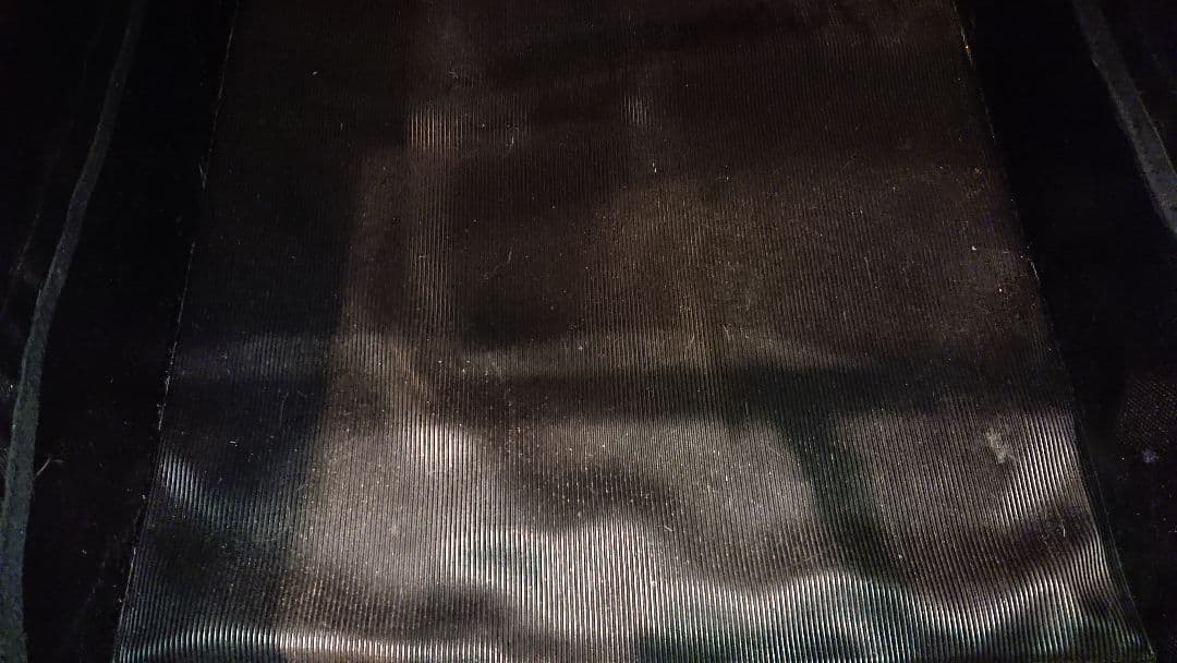 ♡送料無料♡ エアバギーフォードッグ　トゥインクル　ブラック