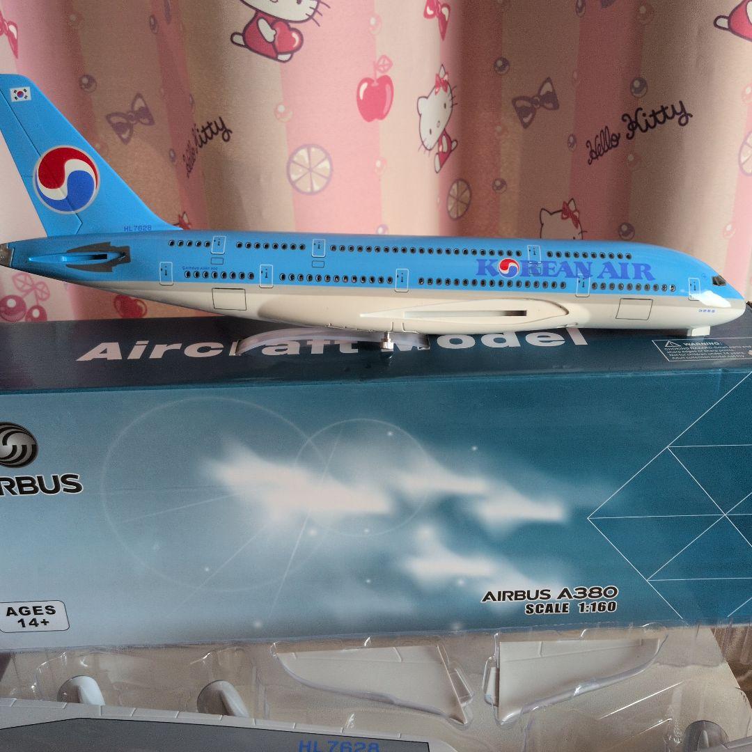 韓国旅客機約50cm