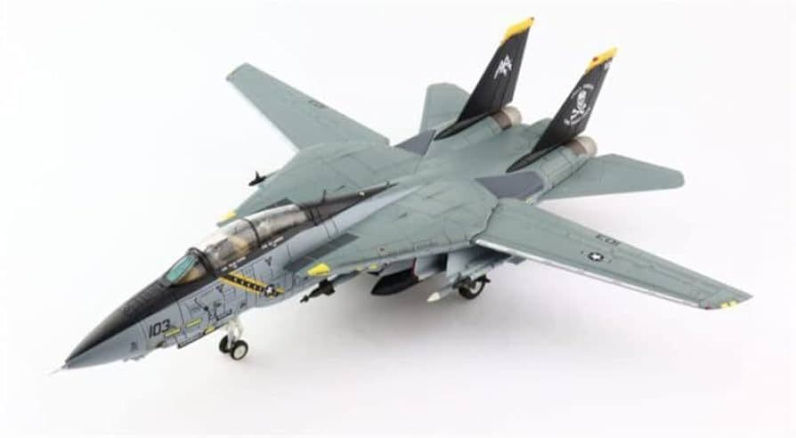 1/72 F-14AB 第103戦闘飛行隊 “ジョリーロジャース 2005