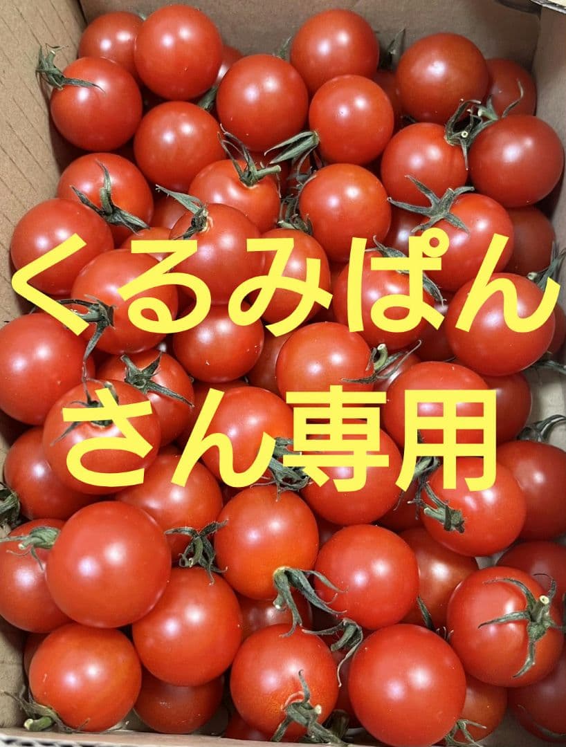 くるみぱんせん専用