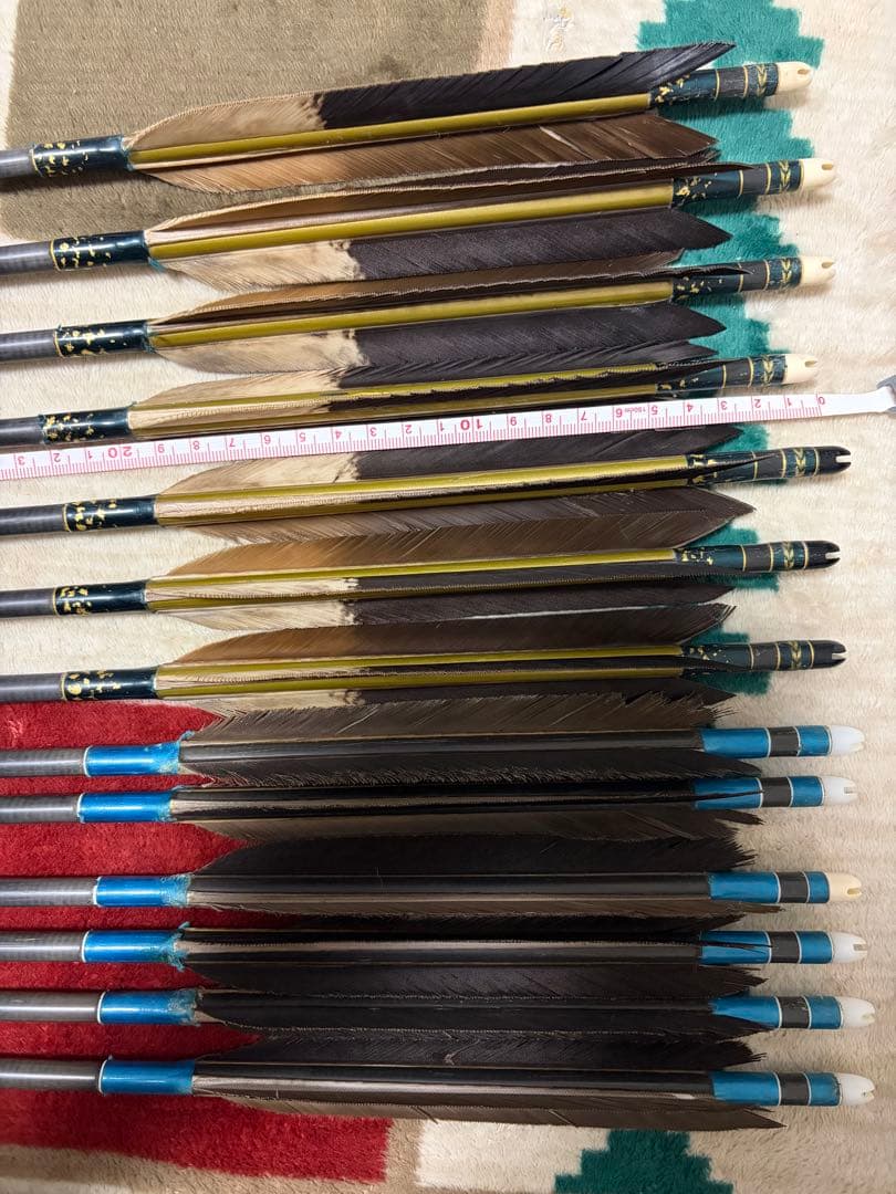 弓道 カーボン矢 95cm 黒鷲染抜 匠カーボン8022 10本プラス3本おまけ