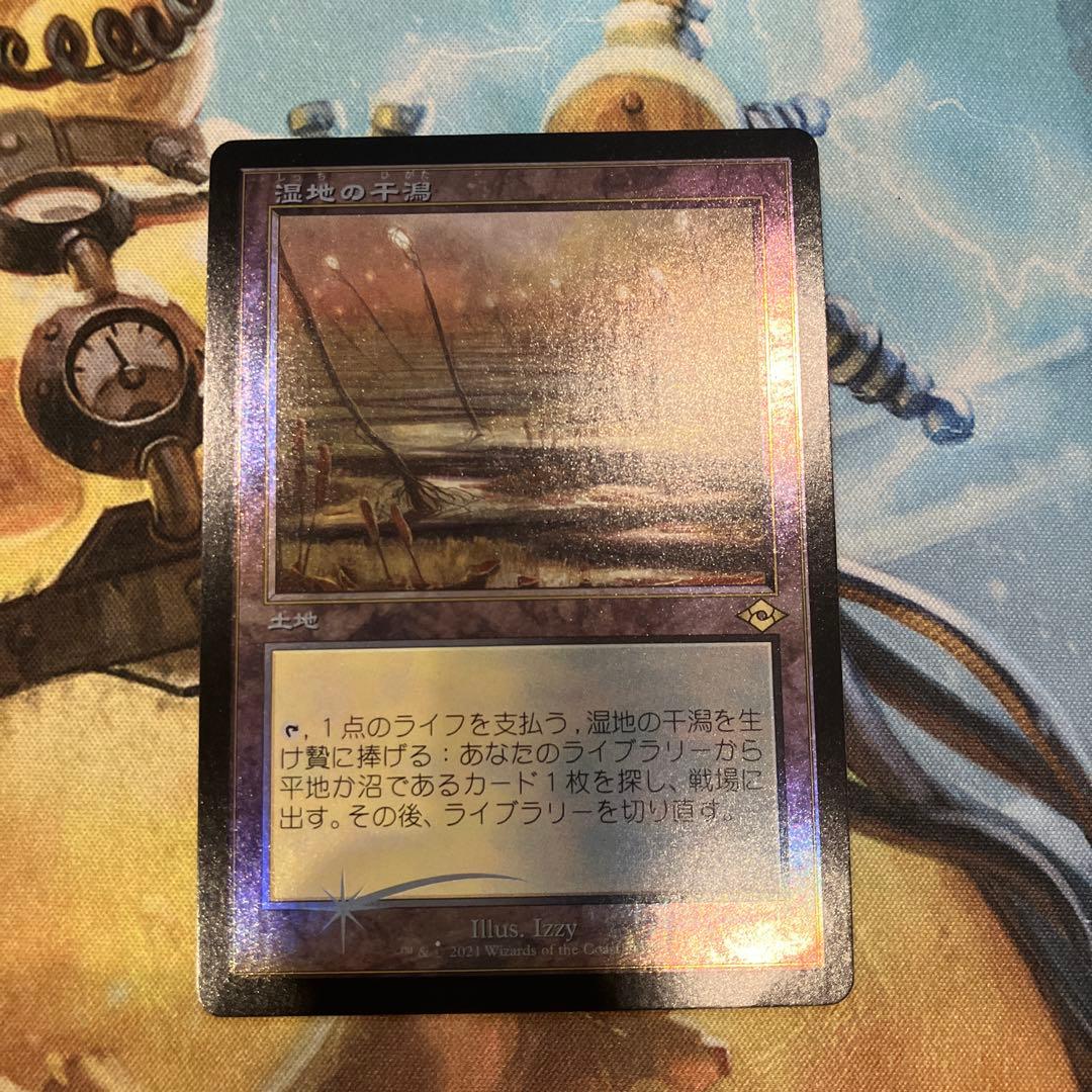 湿地の干潟　日本語FOIL 日本印刷