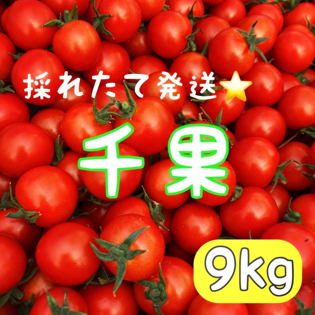 ⭐️お買い得⭐️ミニトマト　9kg