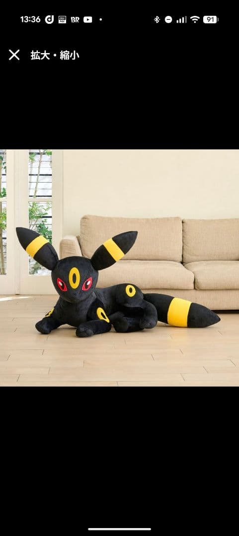 大きいぬいぐるみ ブラッキー 寝そべり