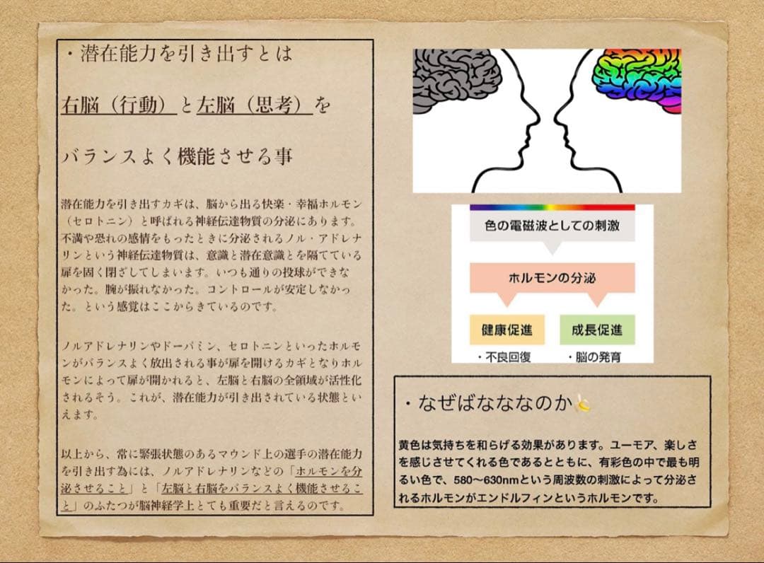 【1月20日まで限定値下げ】ごりら印の野球道具　硬式用オーダーグローブSKR型