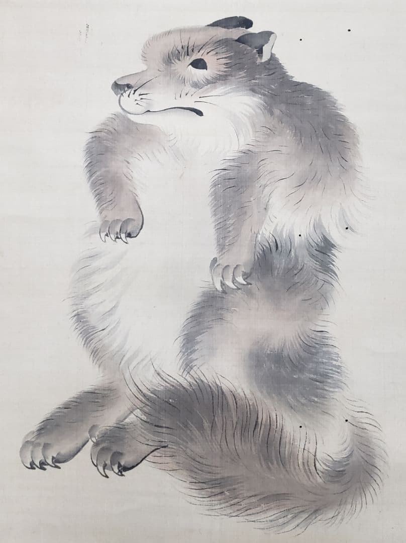 【月下の狸図】松村呉春 2599 四条派　掛け軸　肉筆