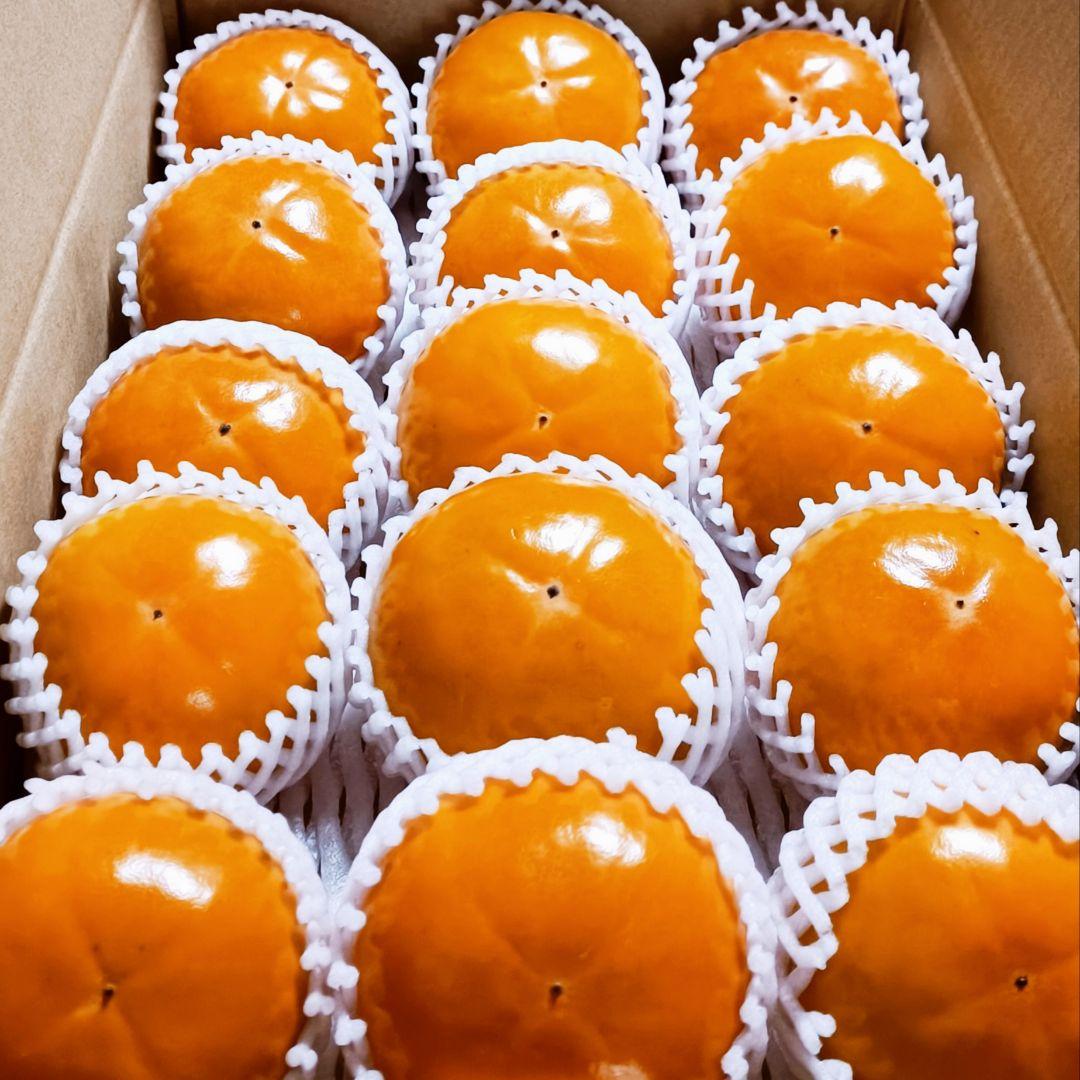 【高級甘柿・大玉】福岡県杷木産ブランド 富有柿 9kg