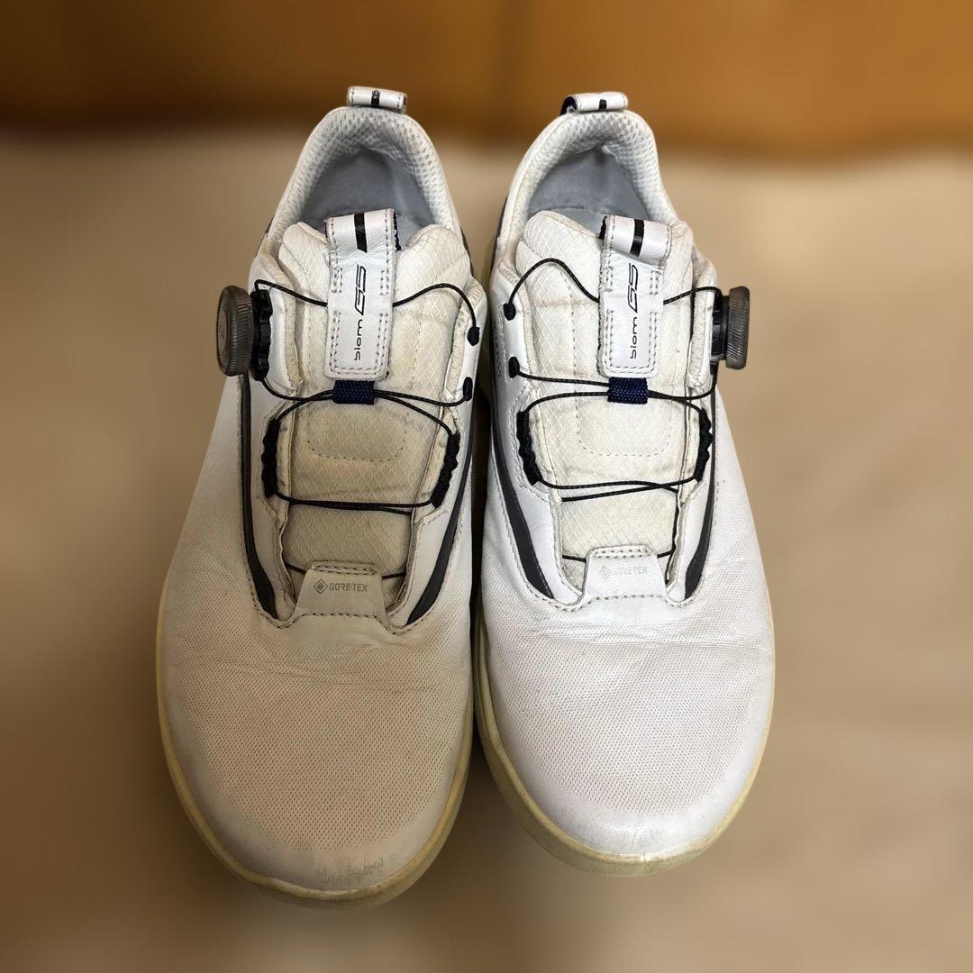 ＥＣＣＯ　レザーGore-Texゴルフシューズ