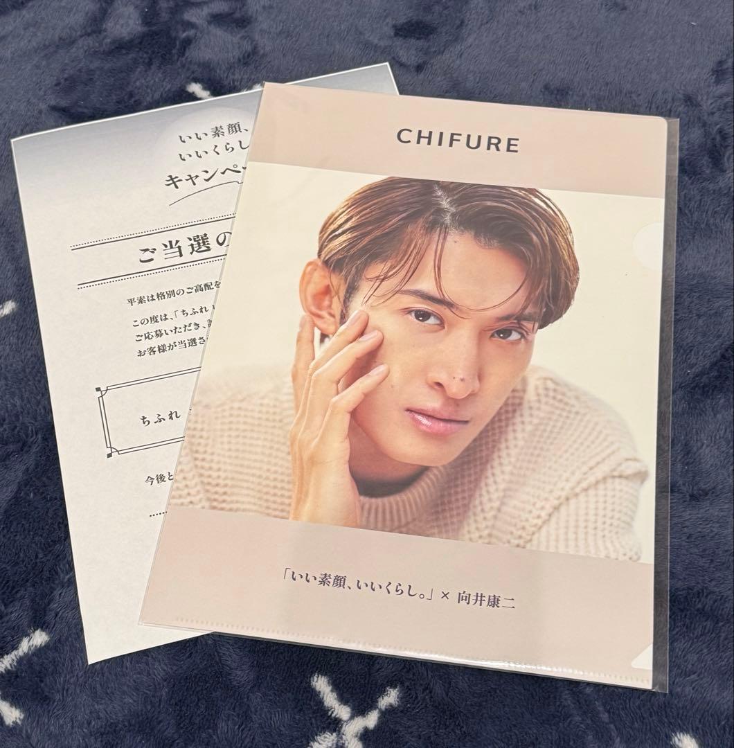 ちふれ　向井康二　クリアファイル