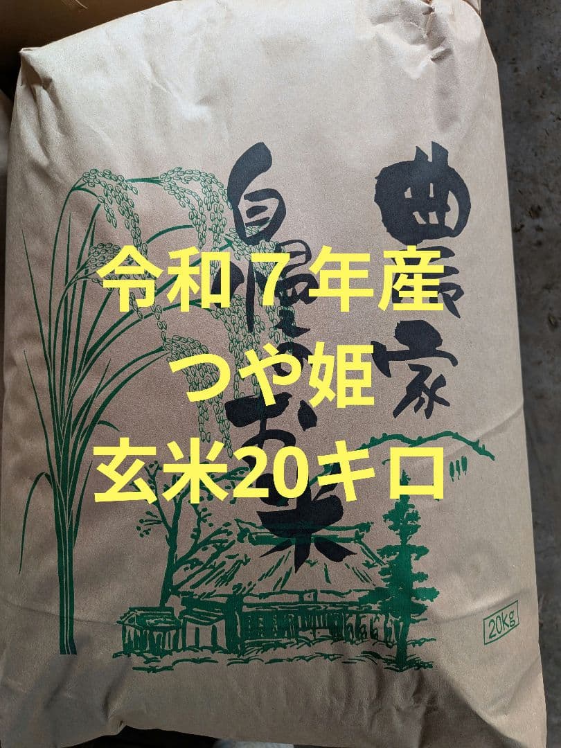 令和７年　宮城県産つや姫　玄米20キロ　１等米　環境保全米　新米　値下げ不可