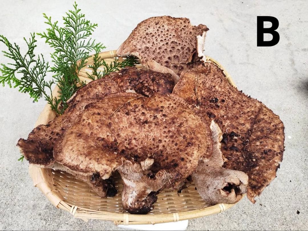 【みかん】 A&B おまとめ