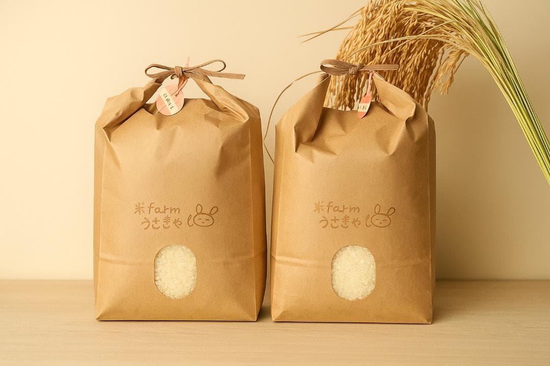 北海道産ゆめぴりか 玄米 20kg 農家直送