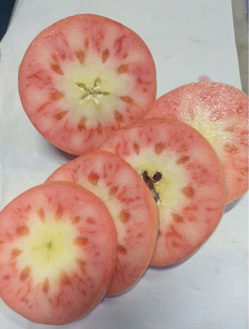 あゆゆめママムーンルージュ