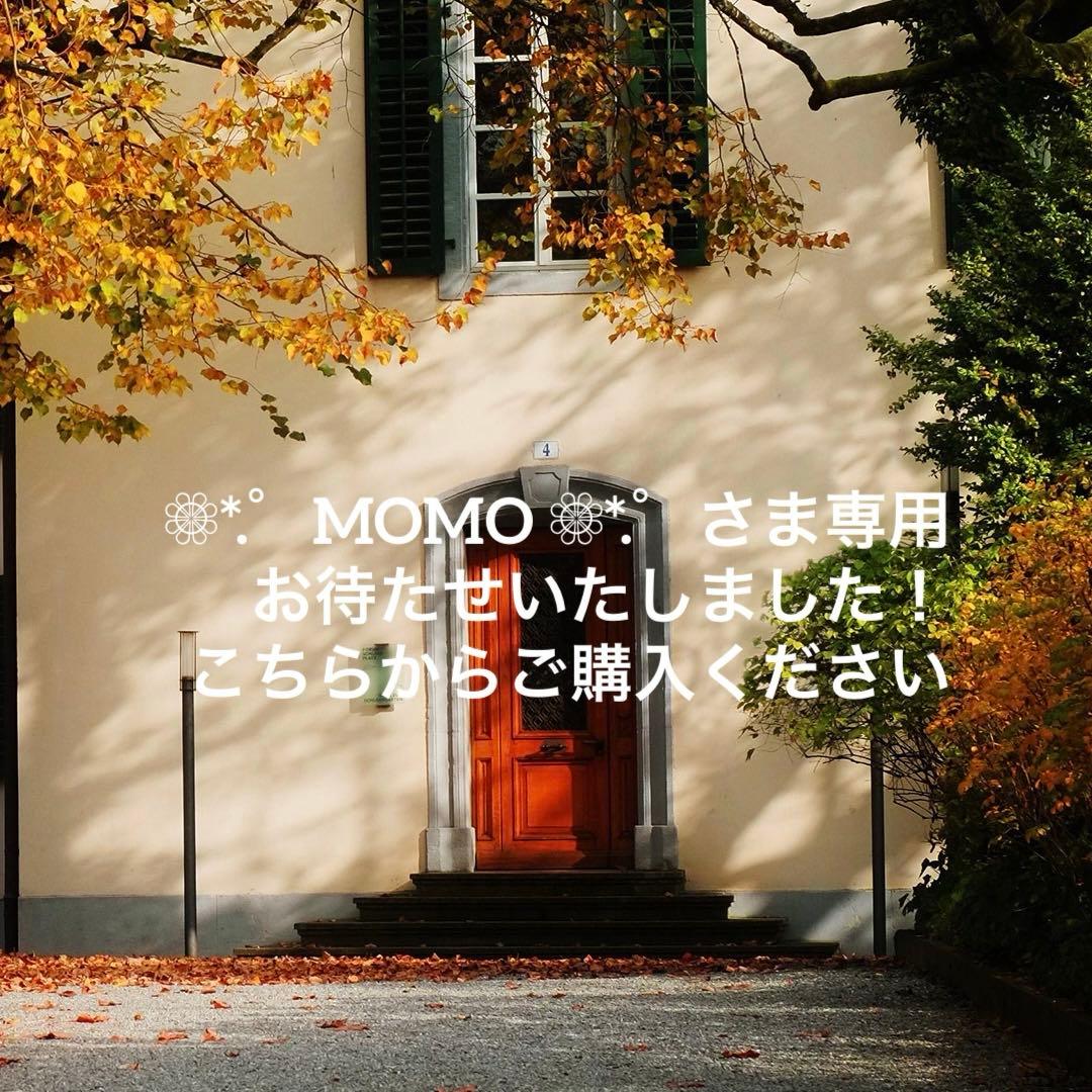 【❁⃘*.゜MOMO ❁⃘*.゜】さま専用ページ