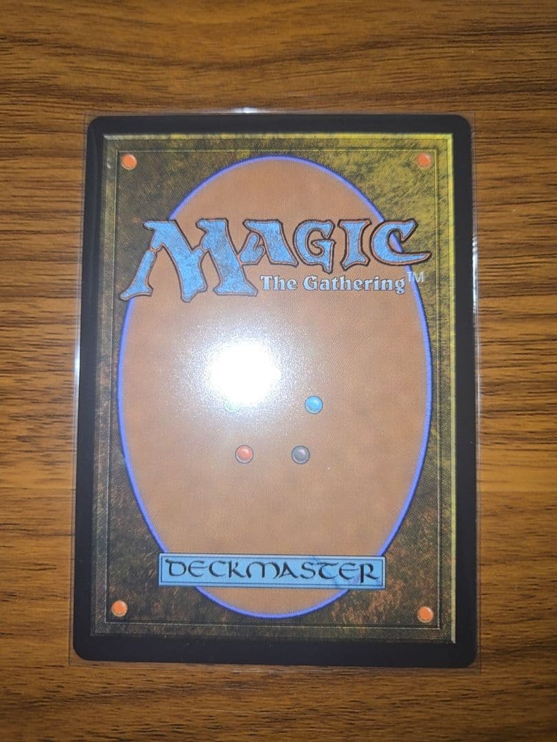 ラスト一枚【新品未使用】アナグマモグラの仔　英語版　アバター　伝説の少年アン