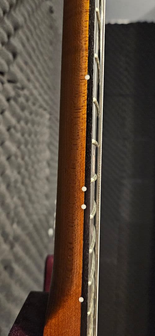 ギター momose MT-KYOZAKURA SP'24/E