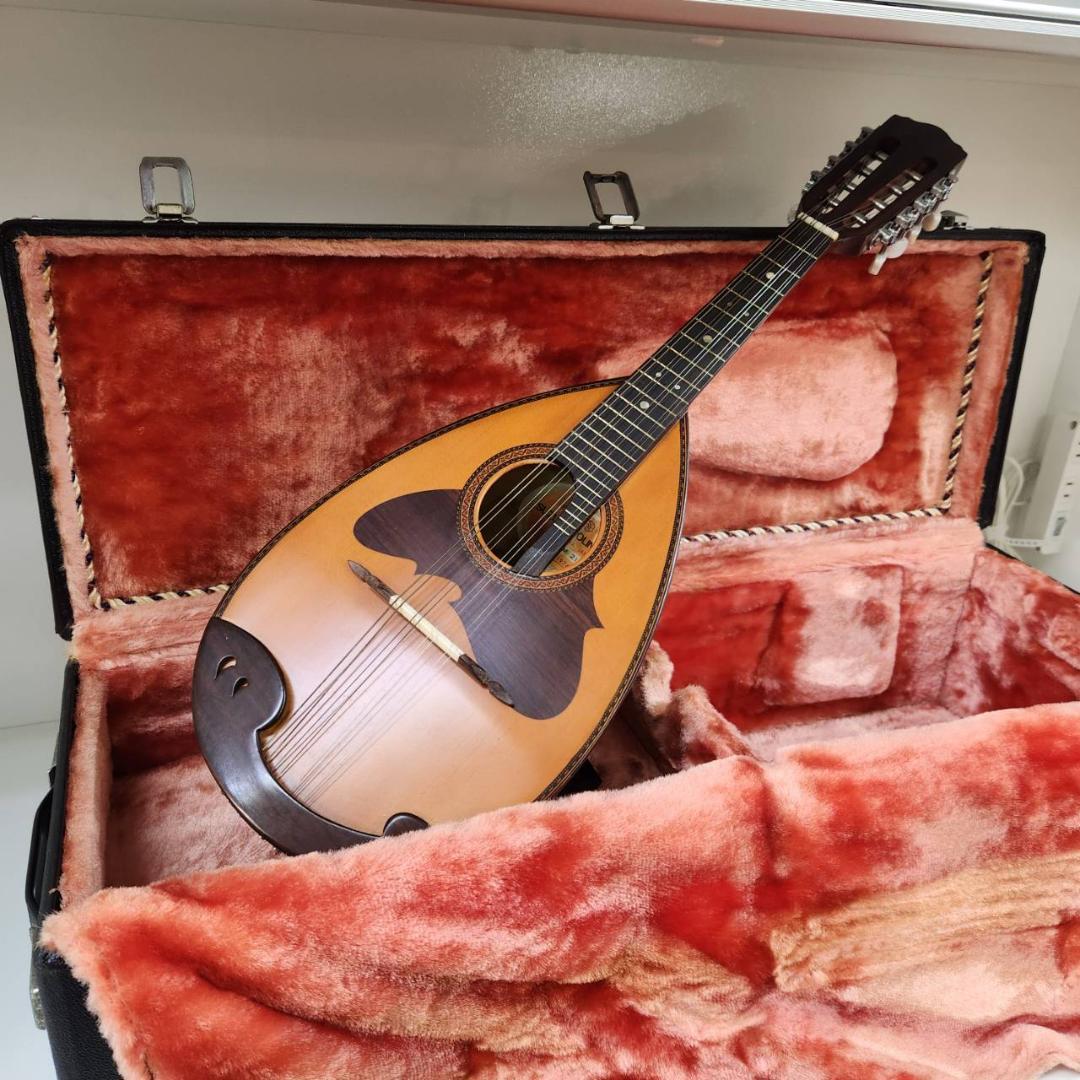 ★鈴木バイオリン　マンドリン　No.M-218　1974年製　スズキ