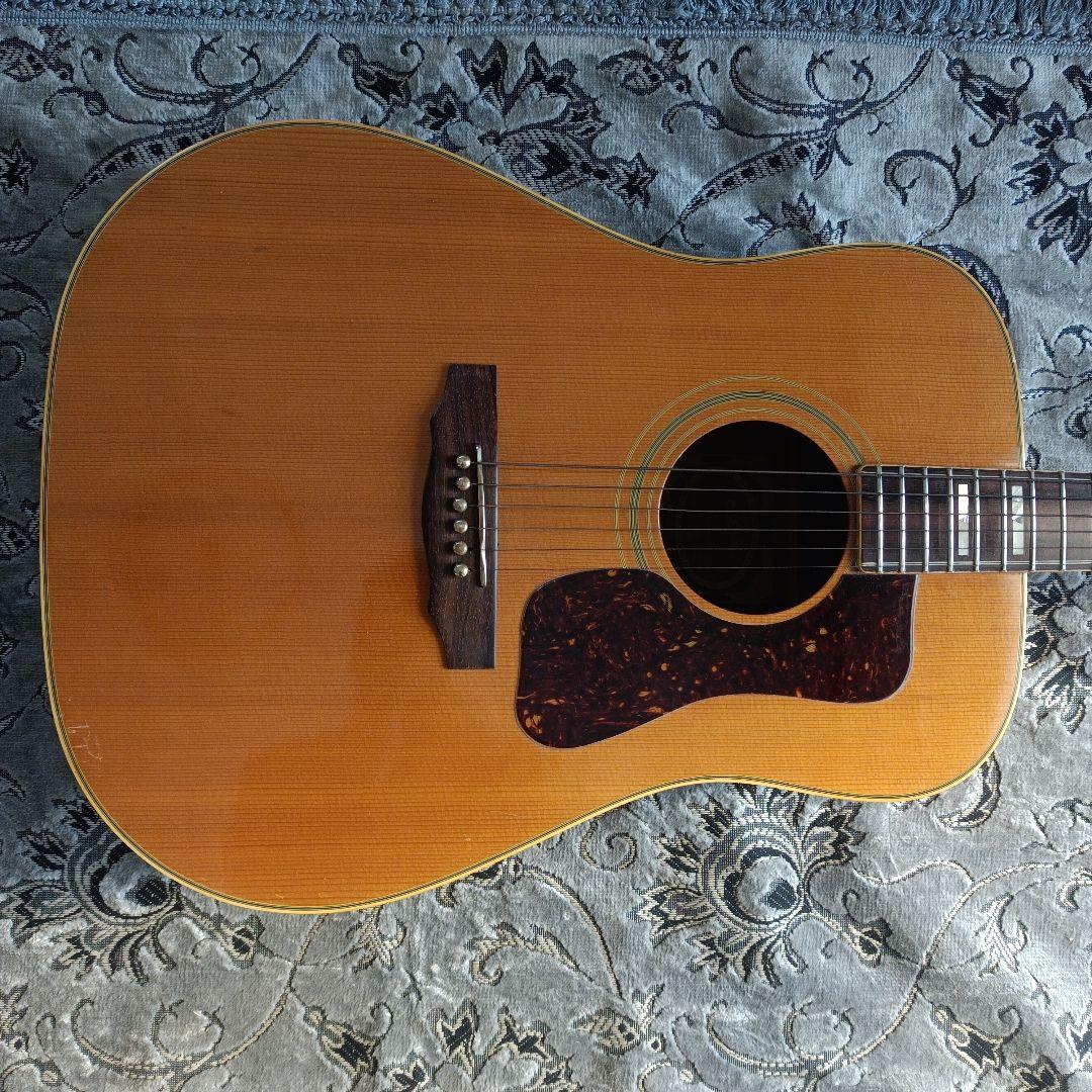 コンプリートＤ-55モデル 積層ネック 本アバロン貝　Aria GL-500