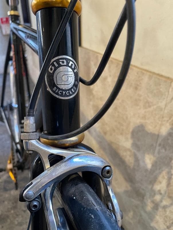 GIANT　tradistトラディスト-手渡しのみでお願いします