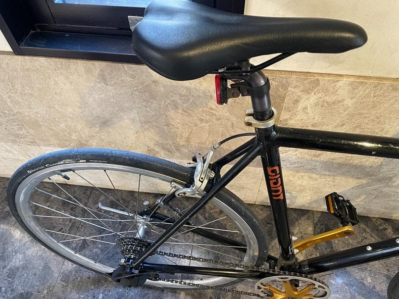 GIANT　tradistトラディスト-手渡しのみでお願いします