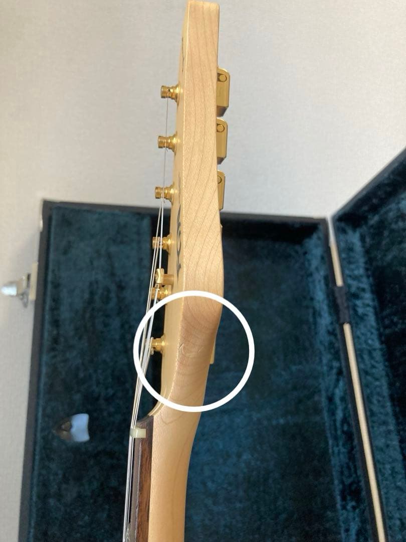 Fujigen EOS-FM-Rフレイムメイプル ほぼ未使用品 メンテナンス済み