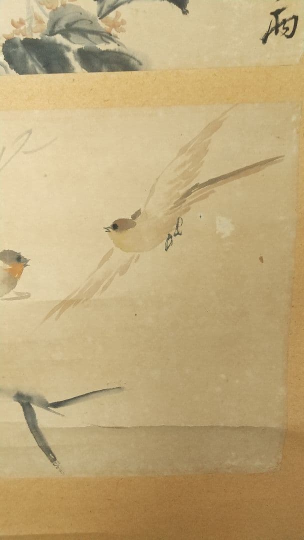 鳥 画賛 紙本掛軸 中国？ 作者不詳 次言？次公筆