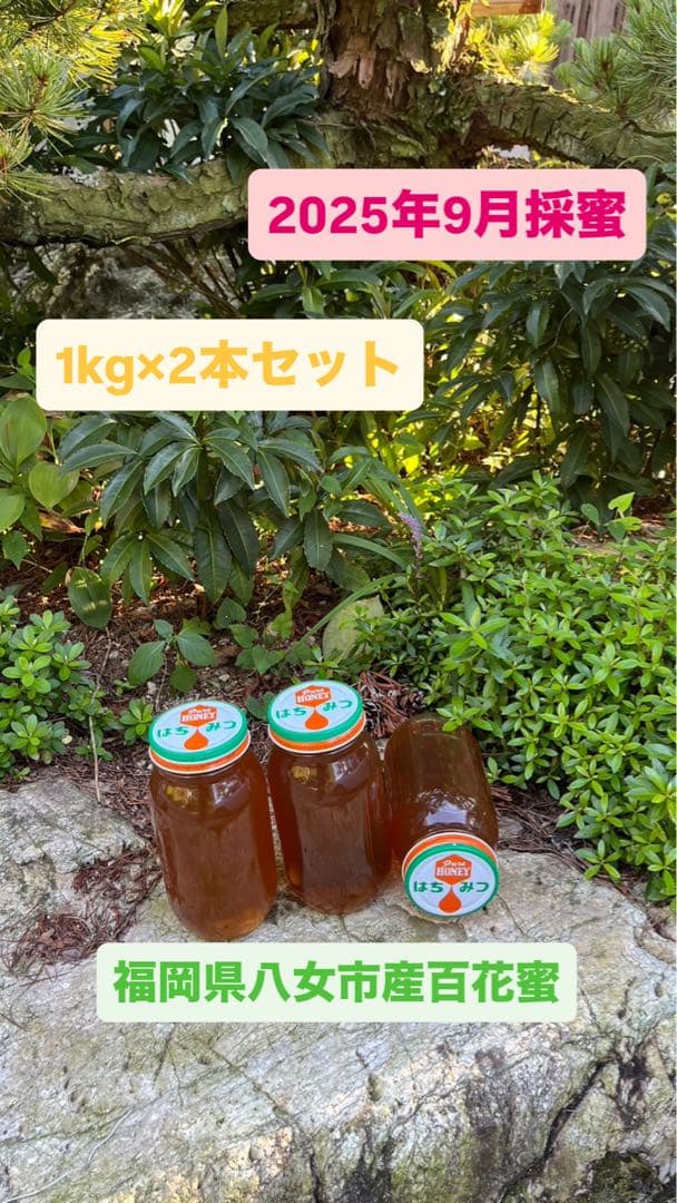 日本蜜蜂ハチミツ/蜂蜜/百花蜜/1kg×2本【値下げ中】