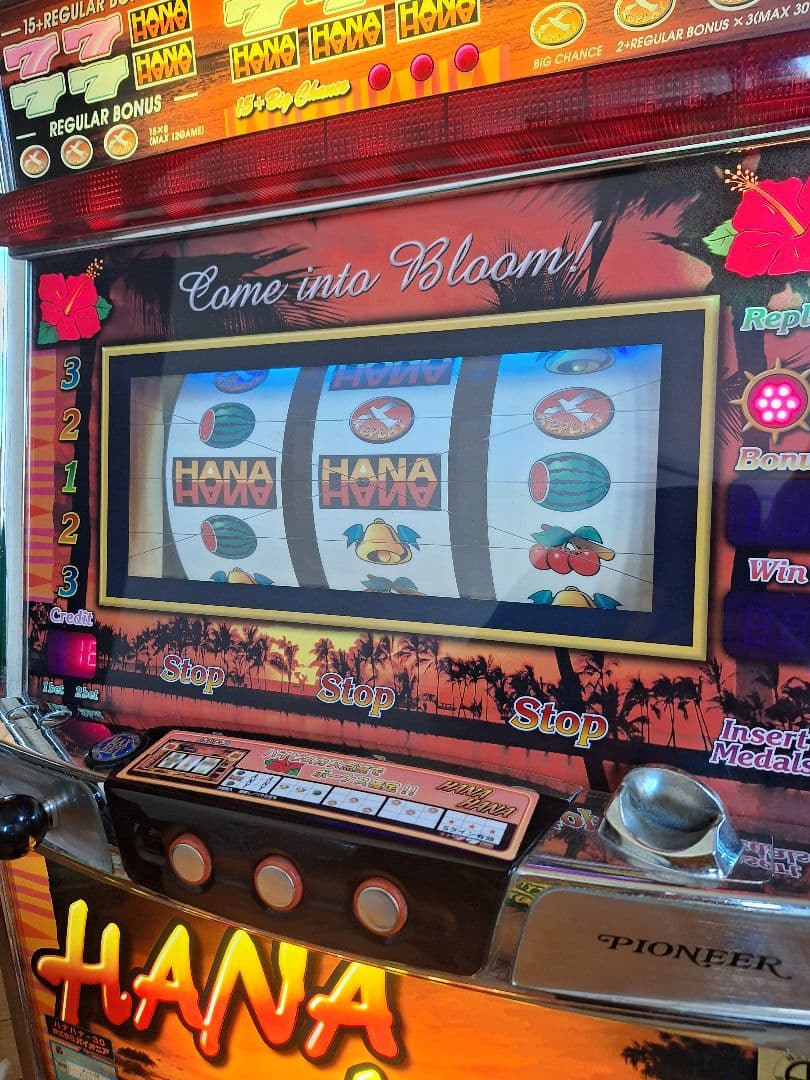 パイオニア　ハナハナ30