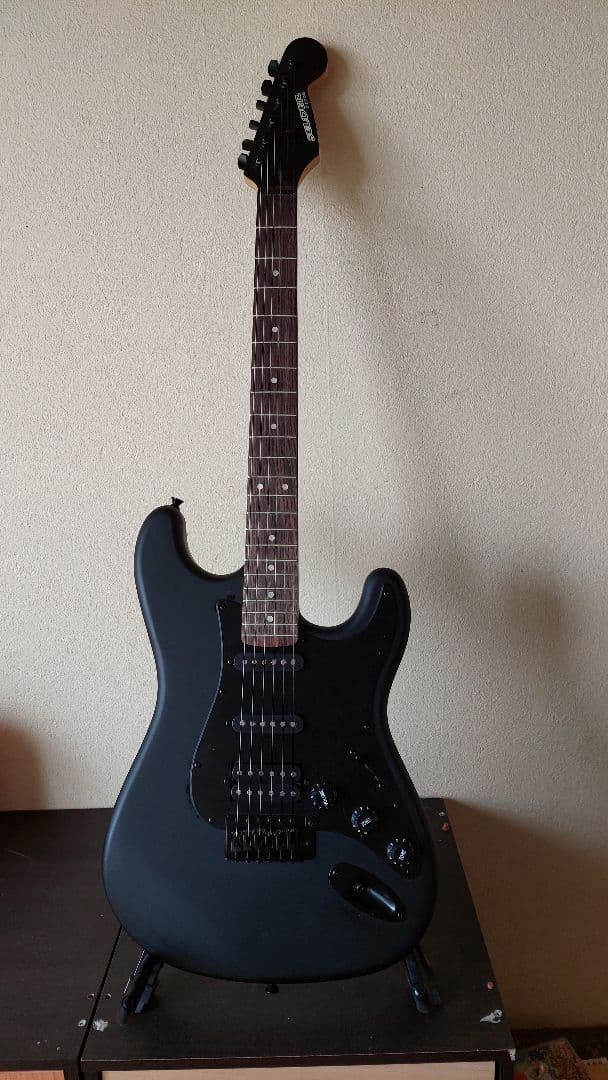 エレキギターSELDER　マットブラック　 チューナー　ケース　スタンド付き美品