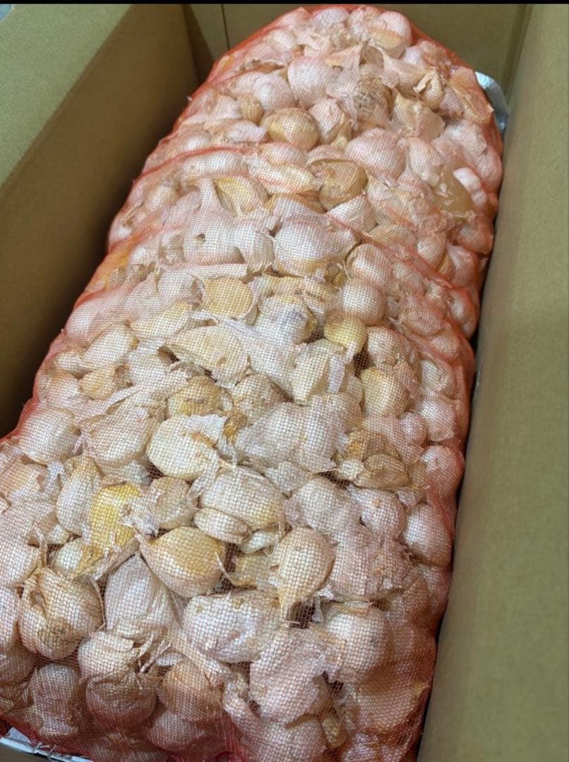 青森県産にんにく　バラ　１０ｋｇ　早い者勝ち