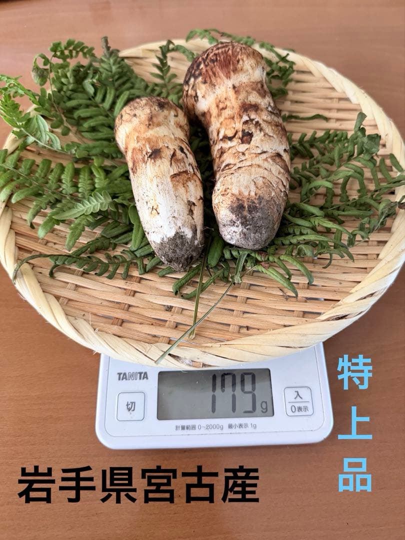 岩手県産　宮古産　松茸　10/15朝採れ　特上　179g 10/17まで出品