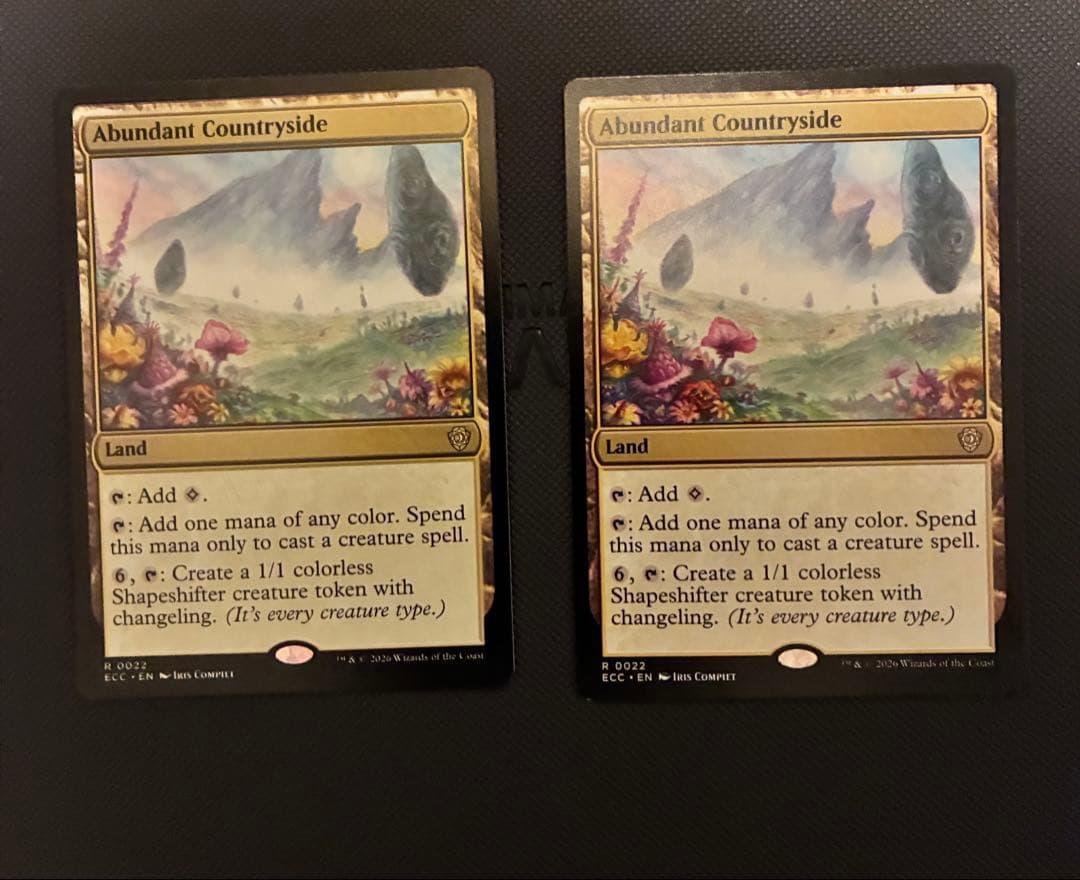 豊かな在郷/Abundant Countryside 英語2枚