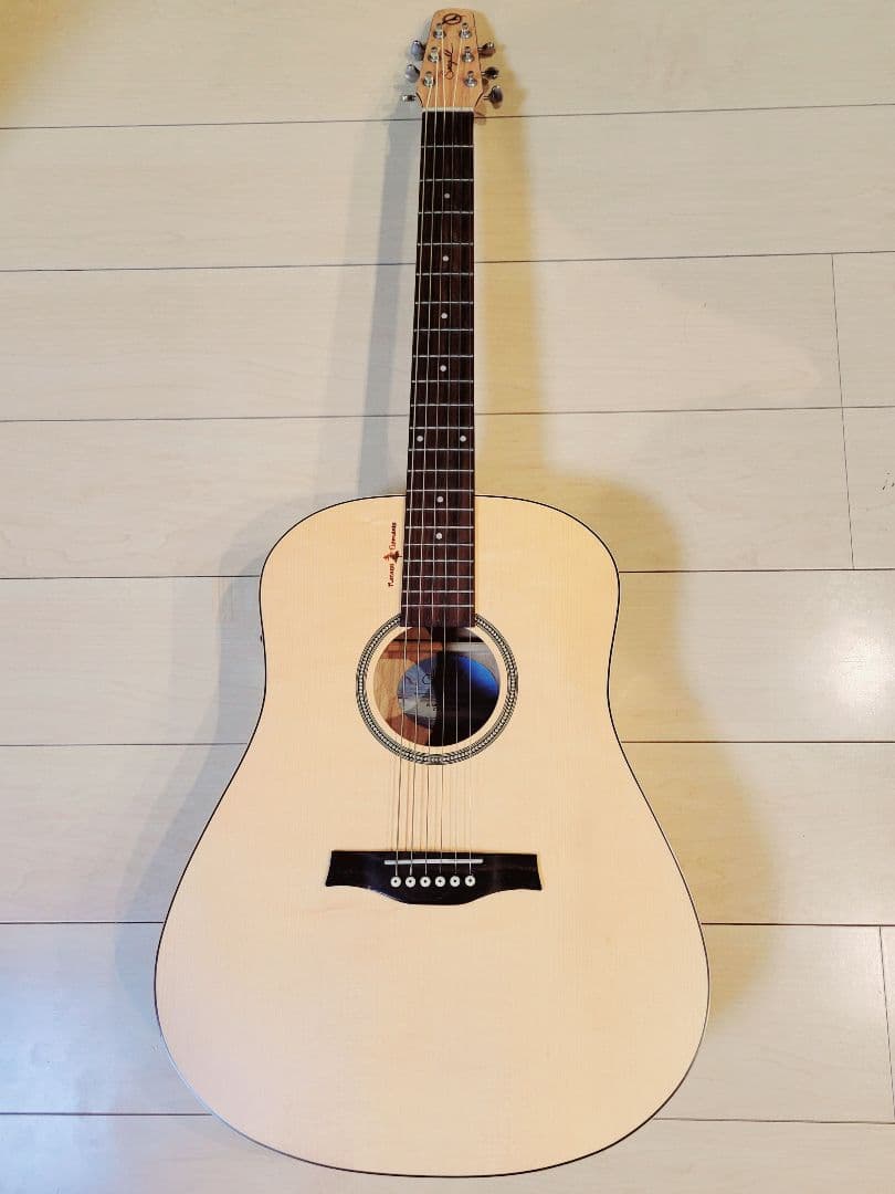 アコギSeagull + ピックアップ