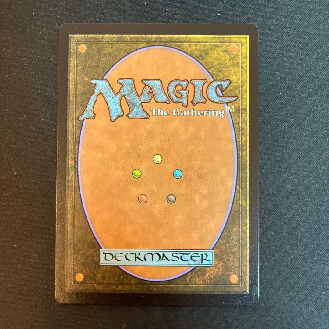 汚染された三角州　英語　1枚