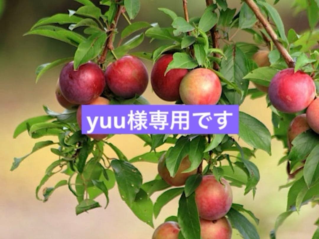 yuuです