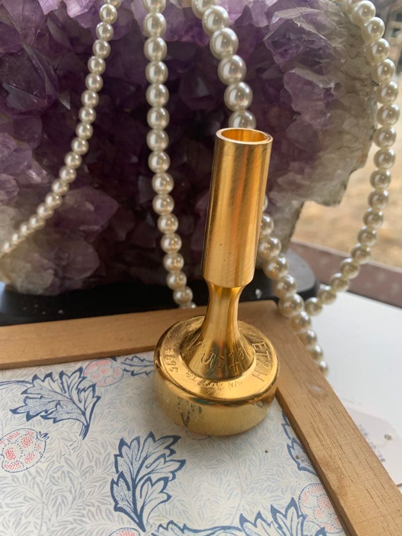 管楽器・吹奏楽器 ET2 #695 skeleton model