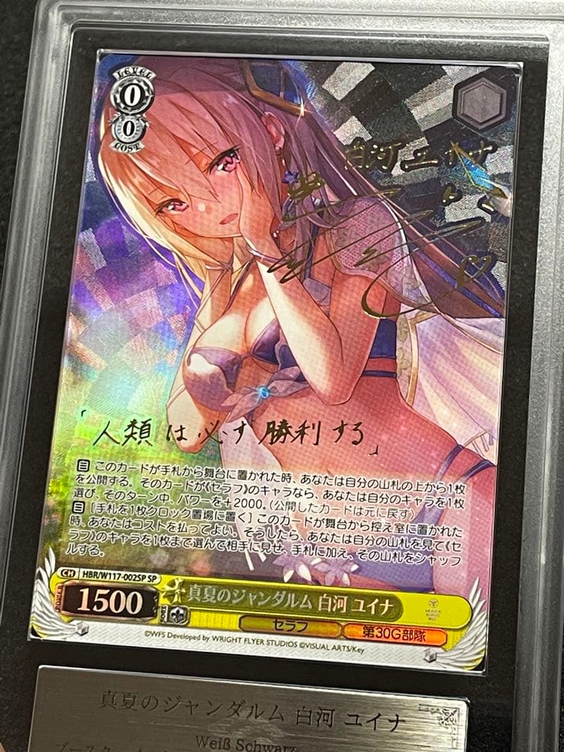 【ARS鑑定10】真夏のジャンダルム　白河ユイナ　SP ヘブバン