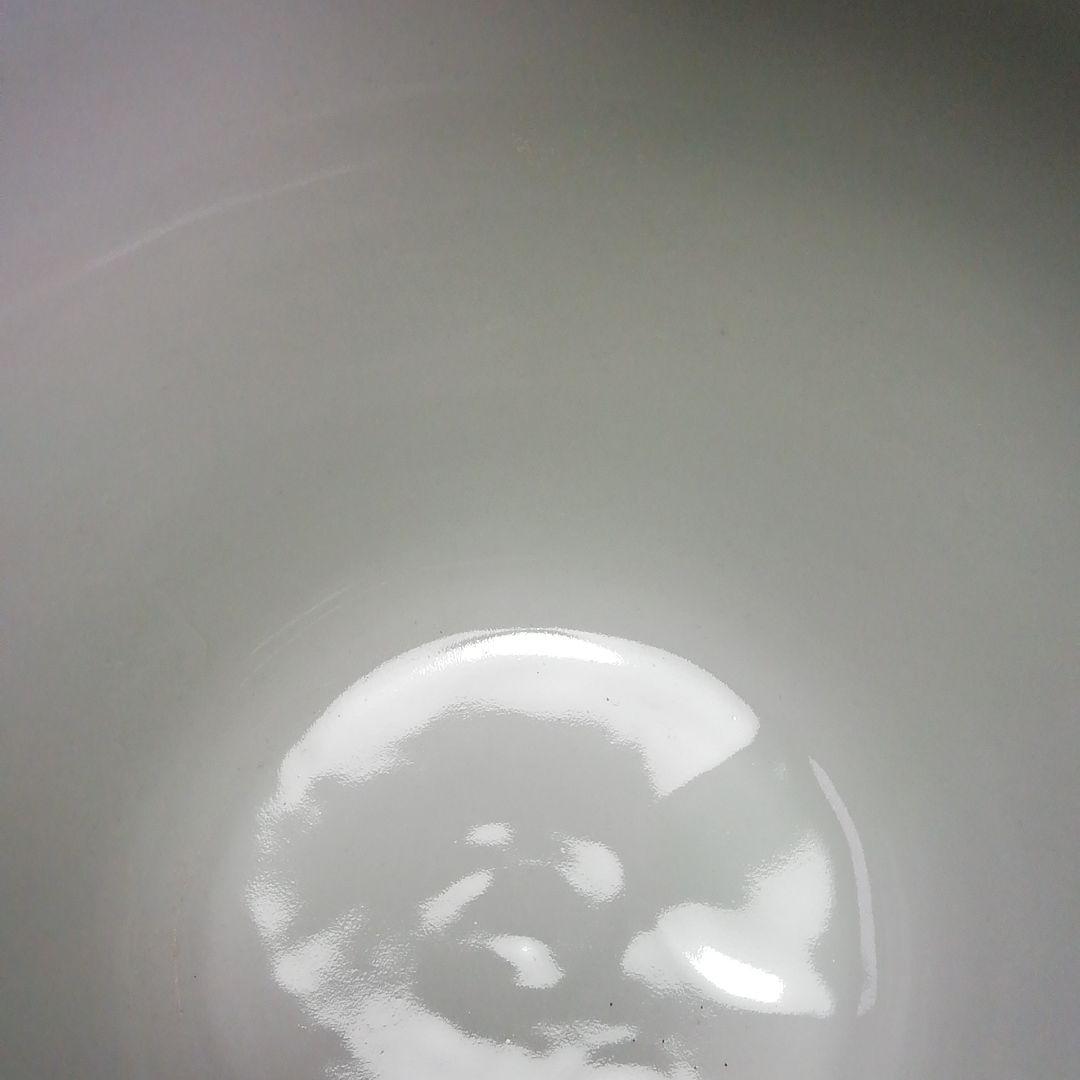 Ｓ３９２　水指　『染付　二閑人水指』『九谷晴山作』『桃摘』　共箱　茶道具