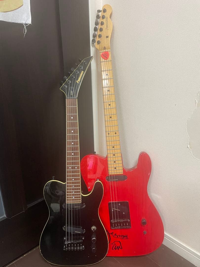 早い者勝ち FERNANDES mini TEJ