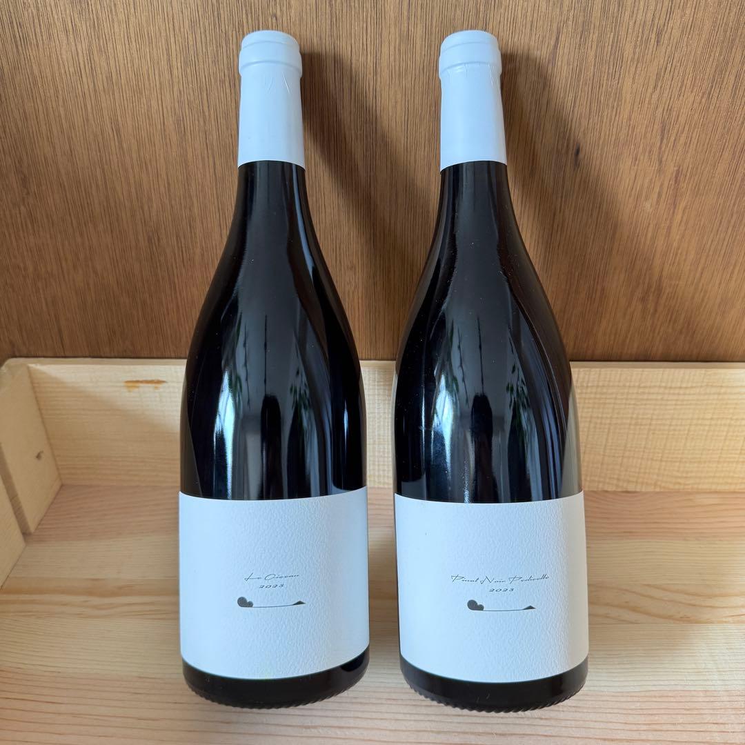 テールドシエル　2023 ル・オワゾ　ペディセル