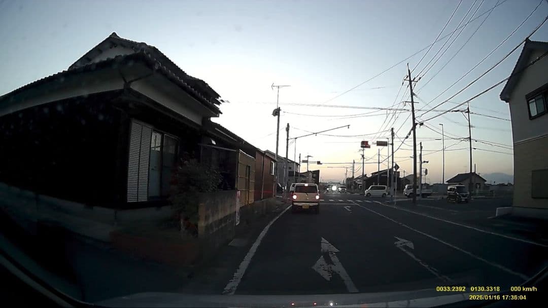 Zeque TALEX LENS 偏光レンズ