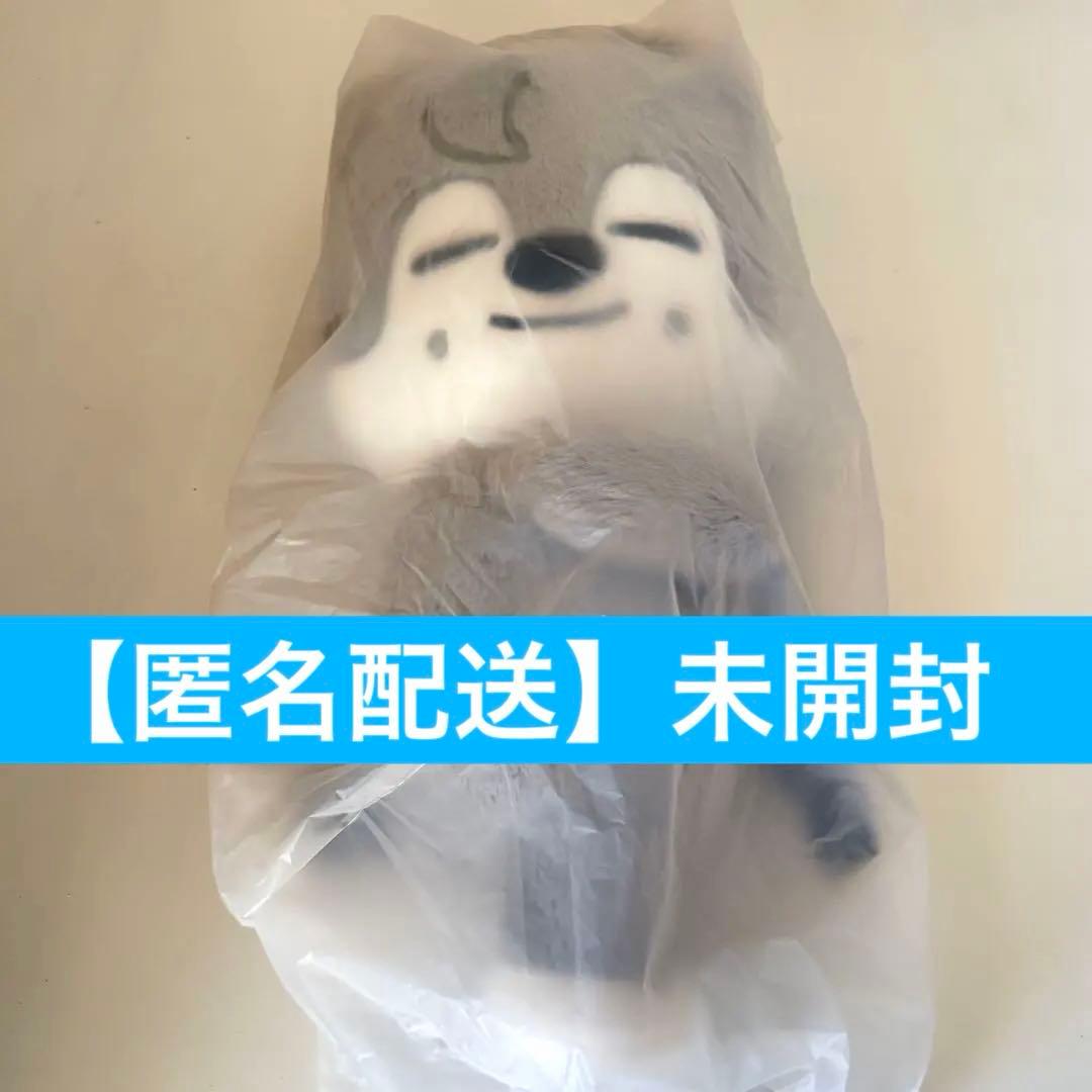 straykids plush bag バンチャン ウルフチャン skzoo