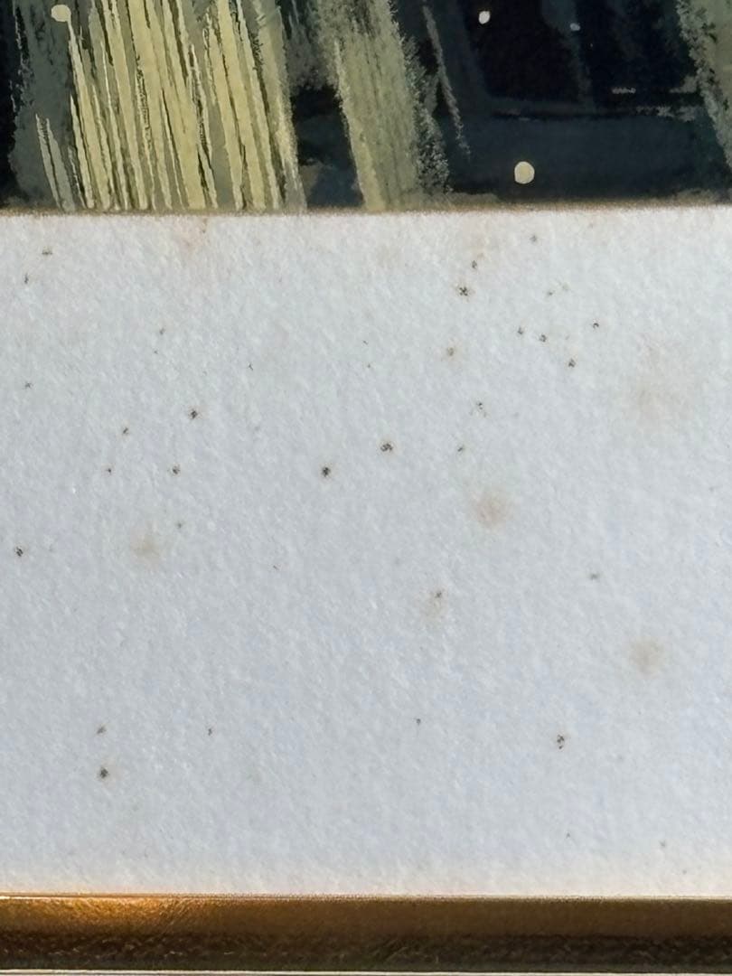 ヒロ・ヤマガタのシルクスクリーン116/250作品『コンコルド広場の噴水』