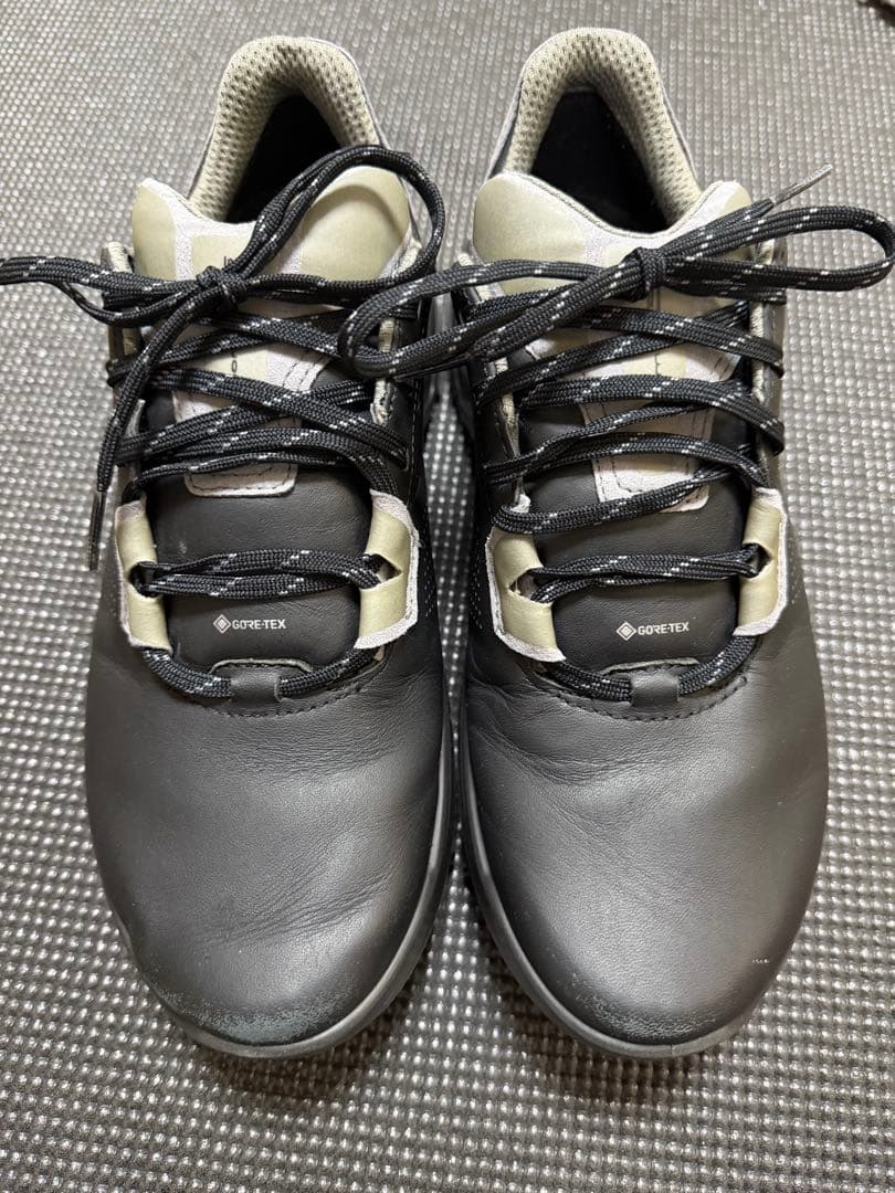 ecco(エコー) メンズ バイオム G5メンズ サイズ40(25cm)